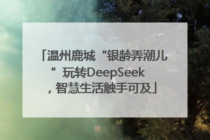 温州鹿城“银龄弄潮儿”玩转DeepSeek，智慧生活触手可及