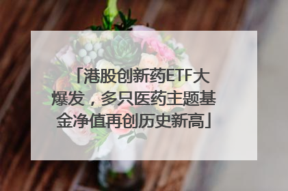 港股创新药ETF大爆发，多只医药主题基金净值再创历史新高