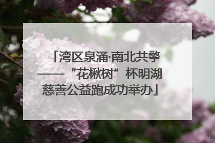 湾区泉涌·南北共擎——“花楸树”杯明湖慈善公益跑成功举办