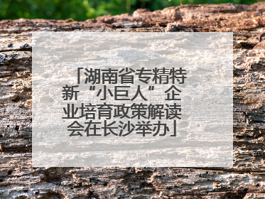 湖南省专精特新“小巨人”企业培育政策解读会在长沙举办