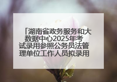 湖南省政务服务和大数据中心2025年考试录用参照公务员法管理单位工作人员拟录用人员名单公示