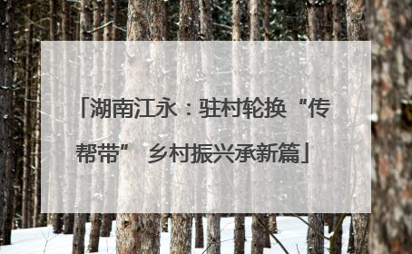 湖南江永：驻村轮换“传帮带” 乡村振兴承新篇