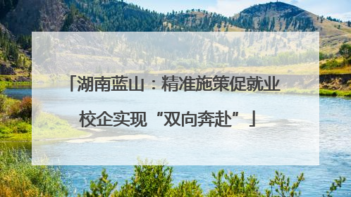 湖南蓝山：精准施策促就业 校企实现“双向奔赴”