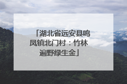 湖北省远安县鸣凤镇北门村：竹林遍野绿生金