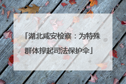 湖北咸安检察：为特殊群体撑起司法保护伞