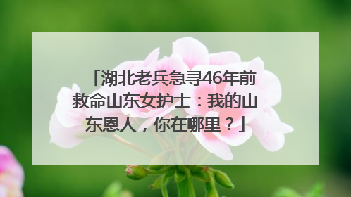 湖北老兵急寻46年前救命山东女护士：我的山东恩人，你在哪里？