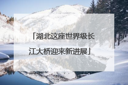 湖北这座世界级长江大桥迎来新进展