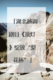 湖北越调剧目《顶灯》绽放“梨花杯”