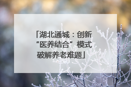 湖北通城：创新 “医养结合”模式 破解养老难题