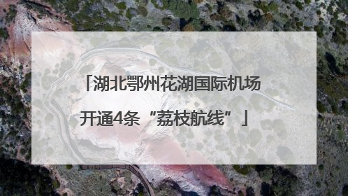 湖北鄂州花湖国际机场开通4条“荔枝航线”