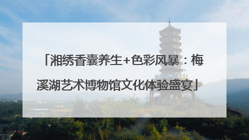 湘绣香囊养生+色彩风暴：梅溪湖艺术博物馆文化体验盛宴