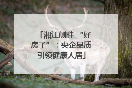 湘江侧畔 “好房子”：央企品质引领健康人居