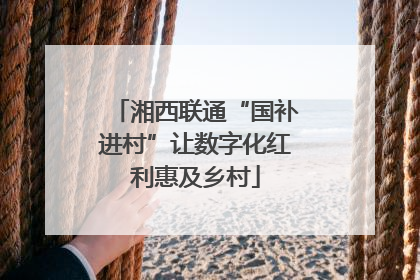 湘西联通“国补进村”让数字化红利惠及乡村