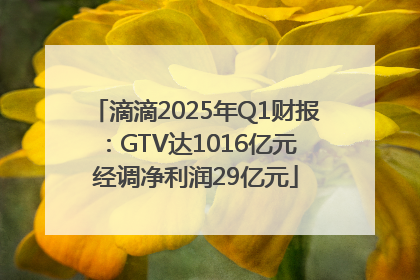 滴滴2025年Q1财报：GTV达1016亿元 经调净利润29亿元