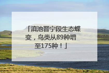 滇池晋宁段生态蝶变，鸟类从89种增至175种！