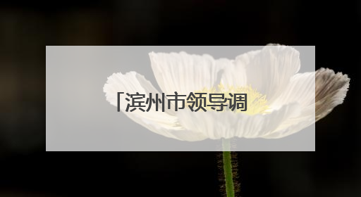 滨州市领导调研市特种设备检验研究院