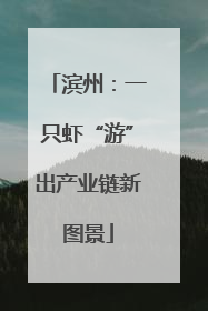 滨州：一只虾“游”出产业链新图景