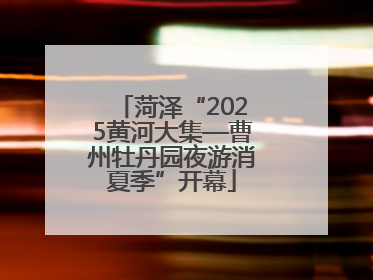 菏泽“2025黄河大集—曹州牡丹园夜游消夏季”开幕