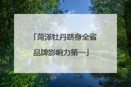 菏泽牡丹跻身全省品牌影响力第一