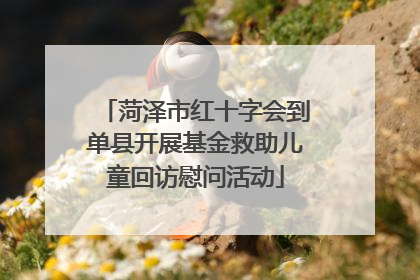 菏泽市红十字会到单县开展基金救助儿童回访慰问活动