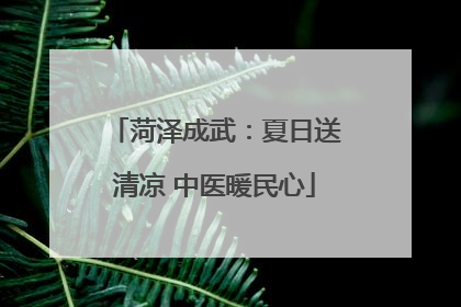 菏泽成武：夏日送清凉 中医暖民心