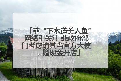 菲“下水道美人鱼”网络引关注 菲政府部门考虑请其当官方大使，赠现金开店