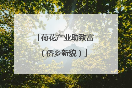 荷花产业助致富（侨乡新貌）