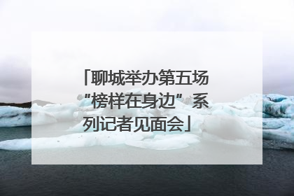 聊城举办第五场“榜样在身边”系列记者见面会