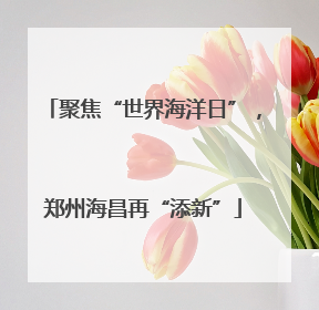 聚焦“世界海洋日”，郑州海昌再“添新”