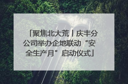 聚焦北大荒丨庆丰分公司举办企地联动“安全生产月”启动仪式