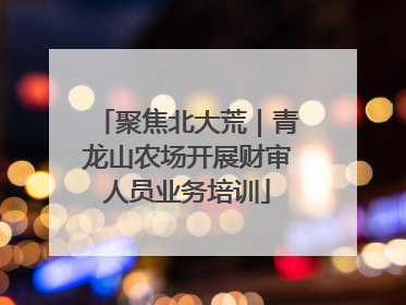 聚焦北大荒｜青龙山农场开展财审人员业务培训
