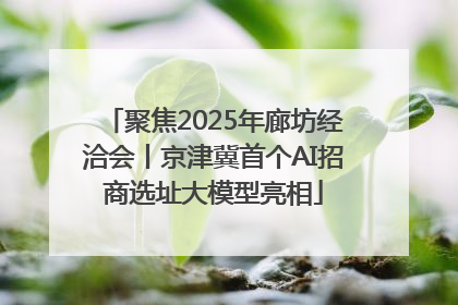 聚焦2025年廊坊经洽会丨京津冀首个AI招商选址大模型亮相