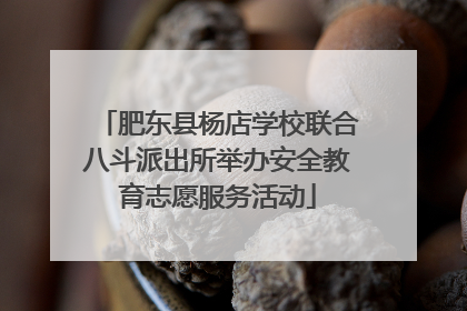 肥东县杨店学校联合八斗派出所举办安全教育志愿服务活动