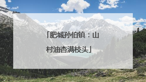 肥城孙伯镇：山村油杏满枝头