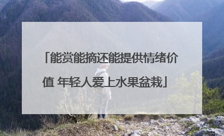 能赏能摘还能提供情绪价值 年轻人爱上水果盆栽