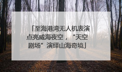 至海港湾无人机表演点亮威海夜空，“天空剧场”演绎山海奇境