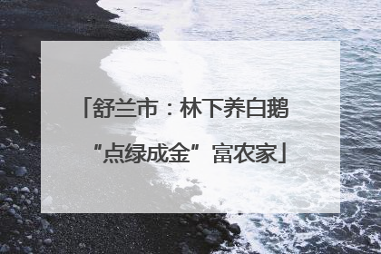 舒兰市：林下养白鹅 “点绿成金”富农家
