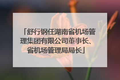 舒行钢任湖南省机场管理集团有限公司董事长、省机场管理局局长