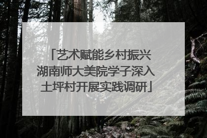 艺术赋能乡村振兴 湖南师大美院学子深入土坪村开展实践调研