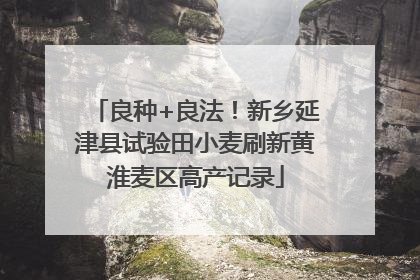 良种+良法！新乡延津县试验田小麦刷新黄淮麦区高产记录