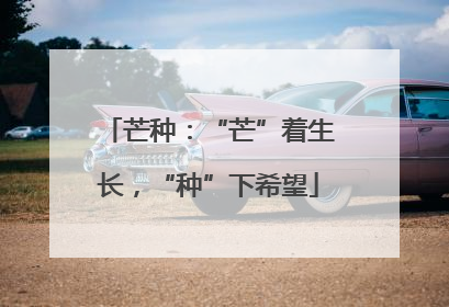 芒种：“芒”着生长，“种”下希望