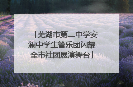 芜湖市第二中学安澜中学生管乐团闪耀全市社团展演舞台