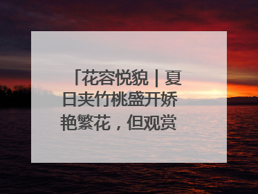 花容悦貌｜夏日夹竹桃盛开娇艳繁花，但观赏时“碰不得”