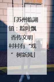 苏州临湖镇：粽叶飘香传文明 村村有“戏”树新风