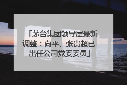 茅台集团领导层最新调整：向平、张贵超已出任公司党委委员