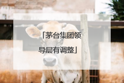 茅台集团领导层有调整