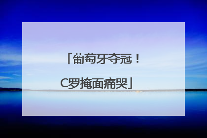 葡萄牙夺冠！C罗掩面痛哭