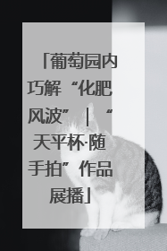 葡萄园内巧解“化肥风波”｜“天平杯·随手拍”作品展播