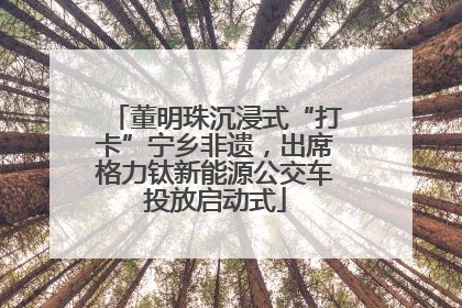 董明珠沉浸式“打卡”宁乡非遗，出席格力钛新能源公交车投放启动式