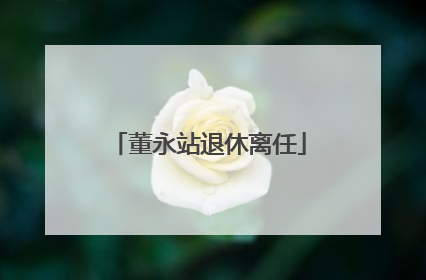 董永站退休离任